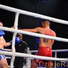 zdjęcie nr 228