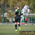 zdjęcie nr 12