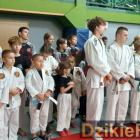 zdjęcie nr 92