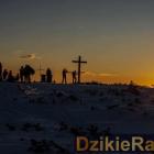 Fot. Izabela Sobel