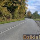 Fotka nr 1 z 2