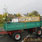 zdjęcie nr 226