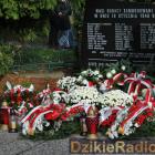 zdjęcie nr 242