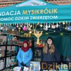 zdjęcie nr 42