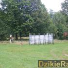 zdjęcie nr 47