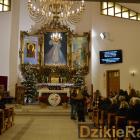 zdjęcie nr 135