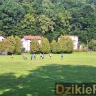 zdjęcie nr 10