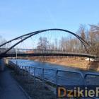 Fotka nr 3 z 9