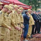zdjęcie nr 19