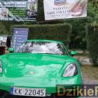zdjęcie nr 221