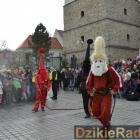 zdjęcie nr 255