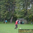 zdjęcie nr 124