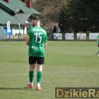 zdjęcie nr 34
