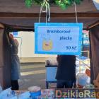 zdjęcie nr 8