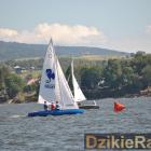 zdjęcie nr 214