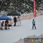 zdjęcie nr 25