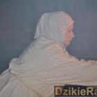 zdjęcie nr 172