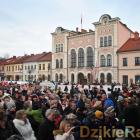 zdjęcie nr 99