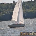 zdjęcie nr 235