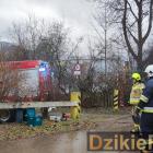 zdjęcie nr 7