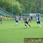 zdjęcie nr 13
