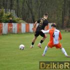 zdjęcie nr 31