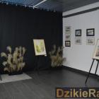 zdjęcie nr 16