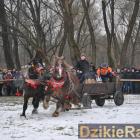 zdjęcie nr 102