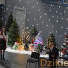 zdjęcie nr 242