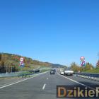 zdjęcie nr 138