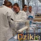 Fot. I Liceum Ogólnokształcące w Żywcu 
