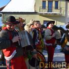 zdjęcie nr 71