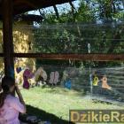 zdjęcie nr 14