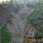 zdjęcie nr 13