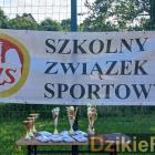 zdjęcie nr 295