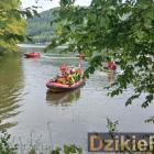 zdjęcie nr 224