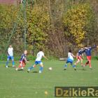 zdjęcie nr 89