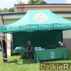 Fotka nr 4 z 75