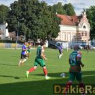 zdjęcie nr 10