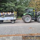 zdjęcie nr 36