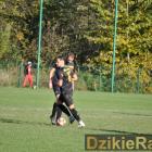 zdjęcie nr 43