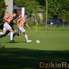 zdjęcie nr 17