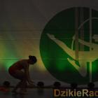 zdjęcie nr 202