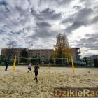 zdjęcie nr 12