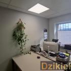 Fot: DzikieRadio®