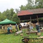 zdjęcie nr 79