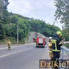 zdjęcie nr 230