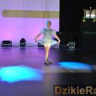 Fotka nr 5 z 339