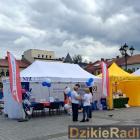 zdjęcie nr 15