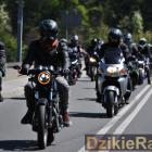 zdjęcie nr 131
